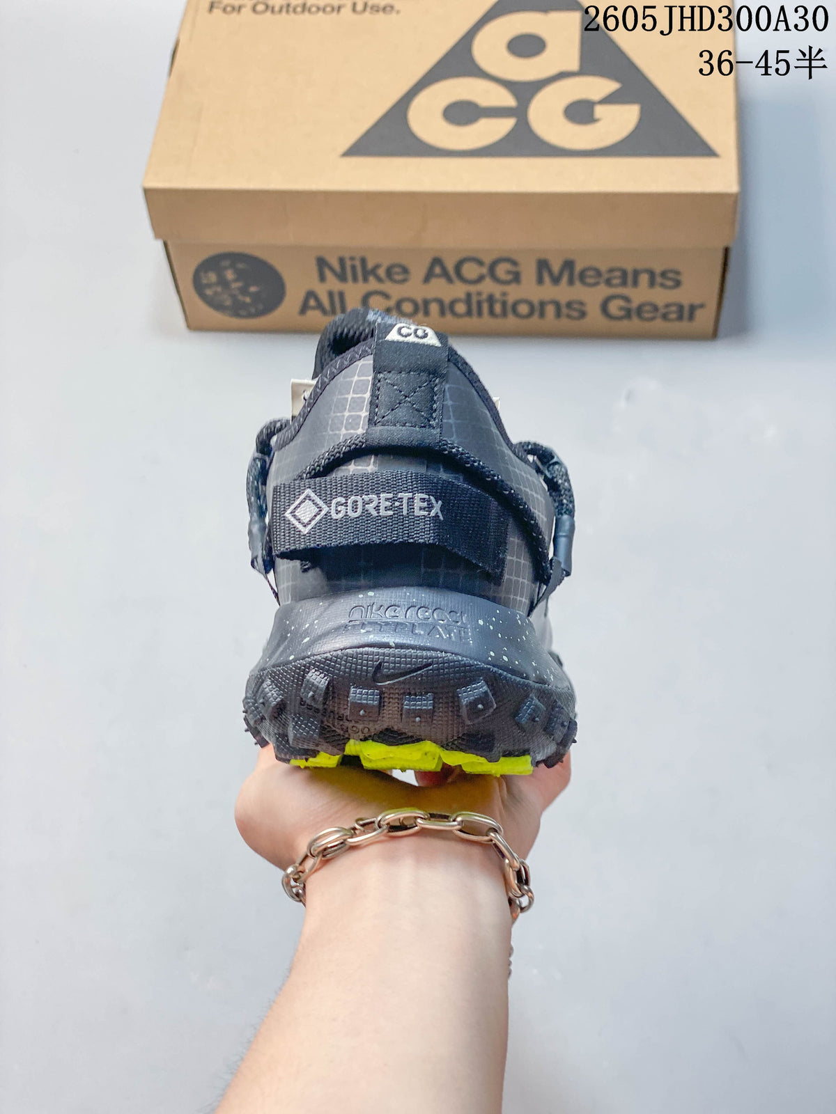 Nike ACG Mountain Fly Low GTX SE Hiking Shoes DD2861-010