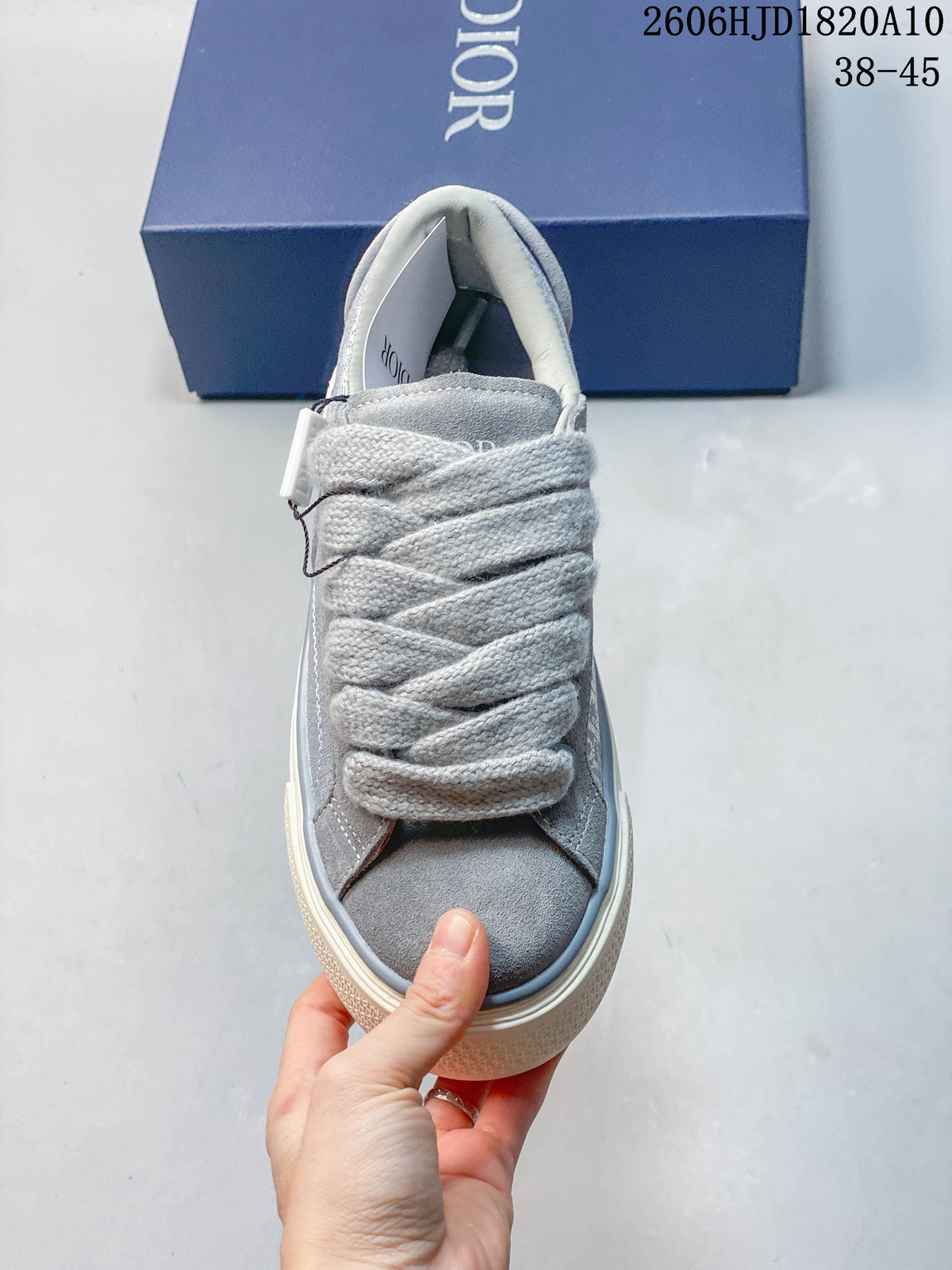Dior B33 Gray Low-Top Sneakers