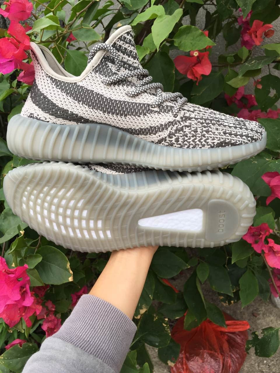 Side view of gray and off-white knit sneakers displayed against flowering plants, showing the contrasting stripe and translucent ribbed sole.