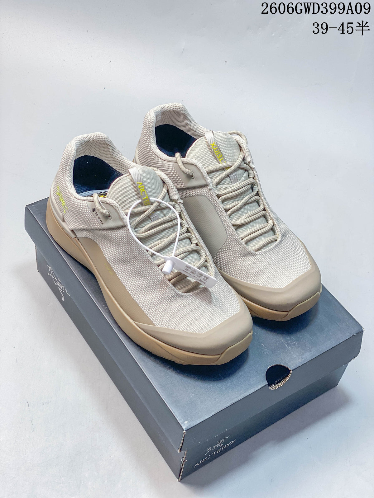 Arc'teryx Norvan Kopec GTX Low Hiking Shoes, Beige