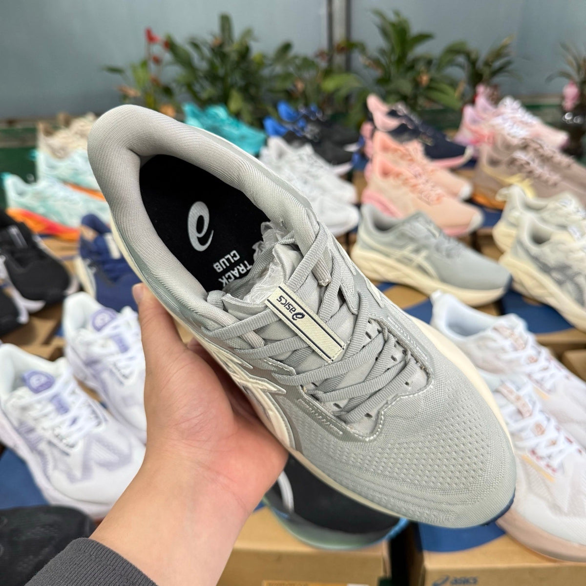 ASICS NOVABLAST 5 LE Gray Running Shoes