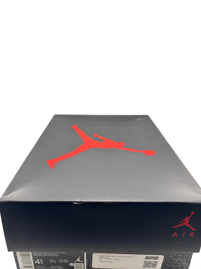 Jordan 3 Retro Black Cement (2024) (GS)